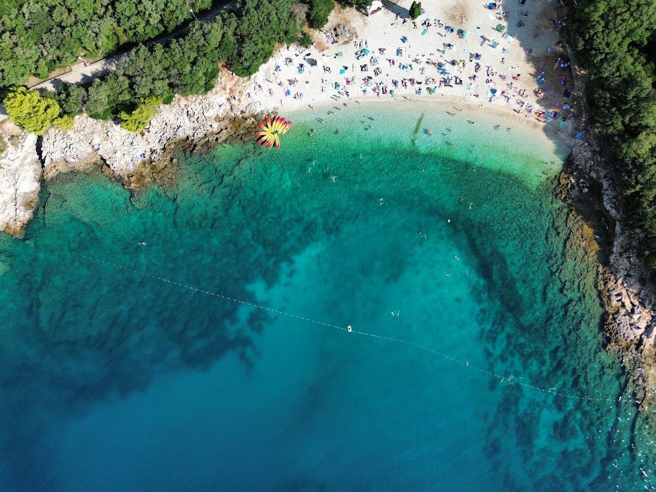 Bathers on the pale pebble crescent of Ambrela beach with pines behind at Verudela, Pula