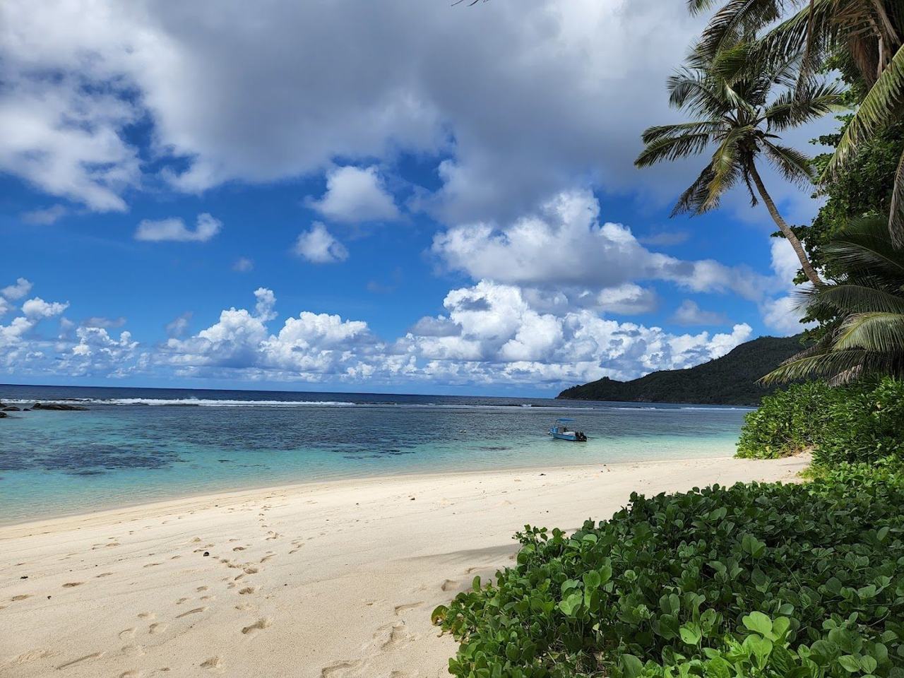 A second view of the sheltered lagoon and palm backed shore at Anse Forbans near Takamaka on Mahe