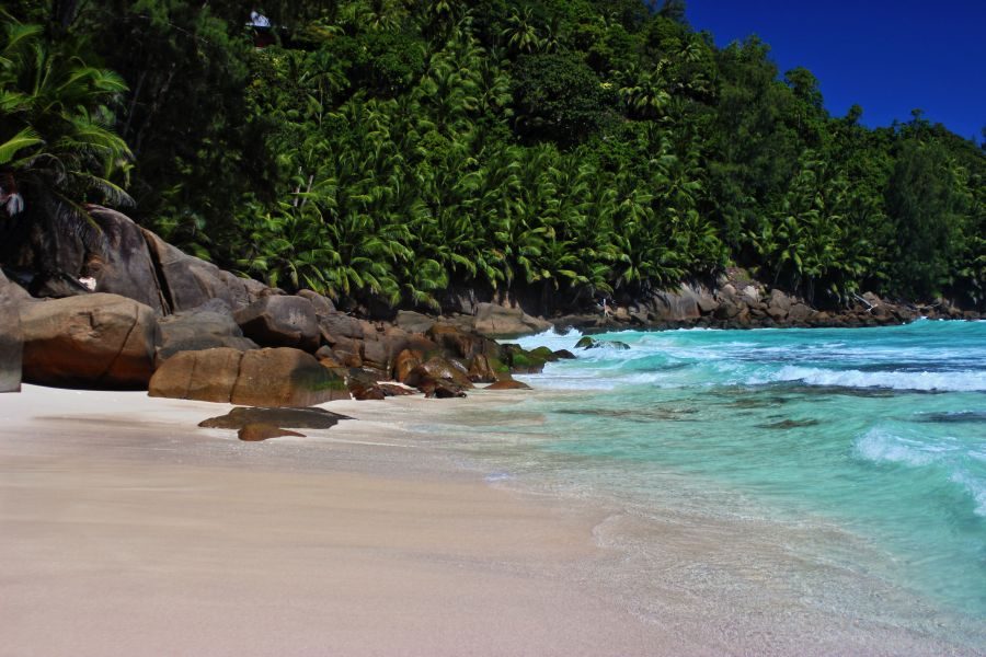 Breaking waves and palms along the open sand at Anse Intendance on south Mahe