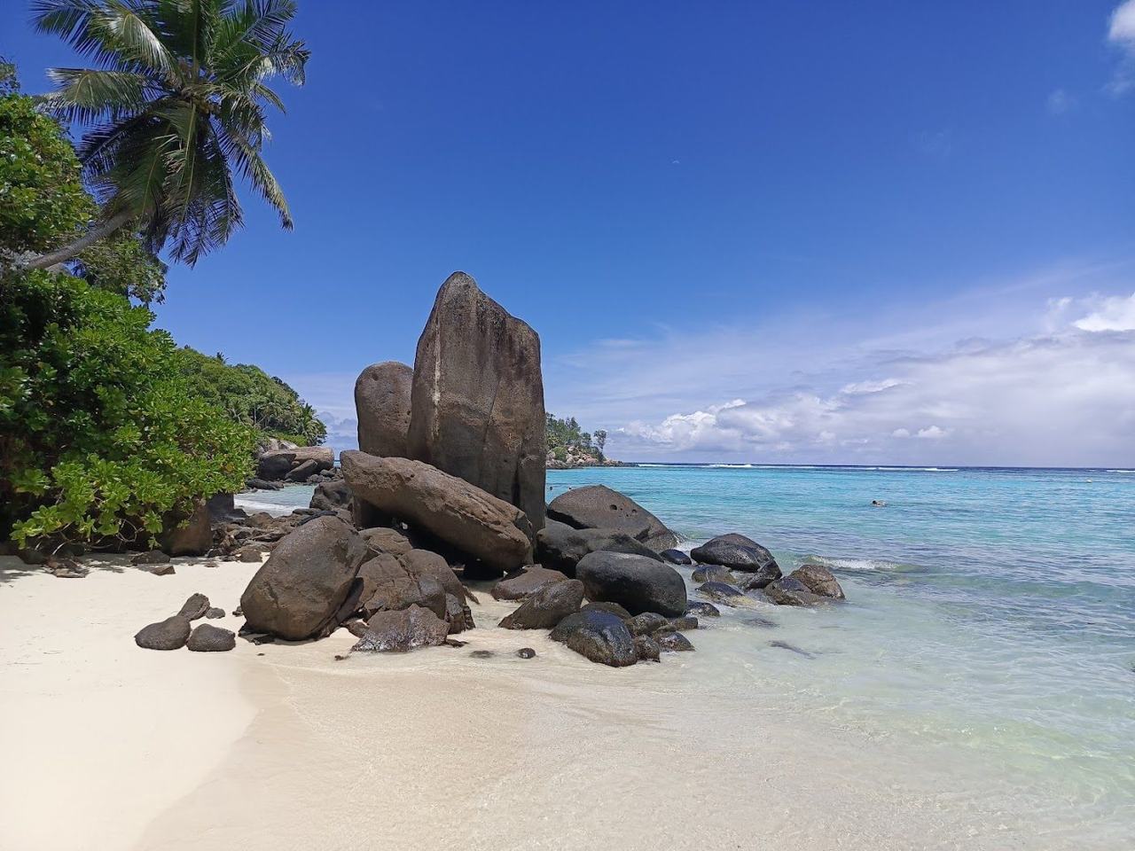 Calm clear lagoon, pale sand and palms at Anse Royale on the south east coast of Mahe in Seychelles
