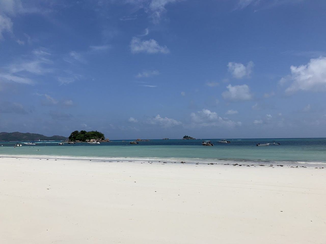Calm shallow water and palms along Cote d'Or at Anse Volbert on the north east coast of Praslin