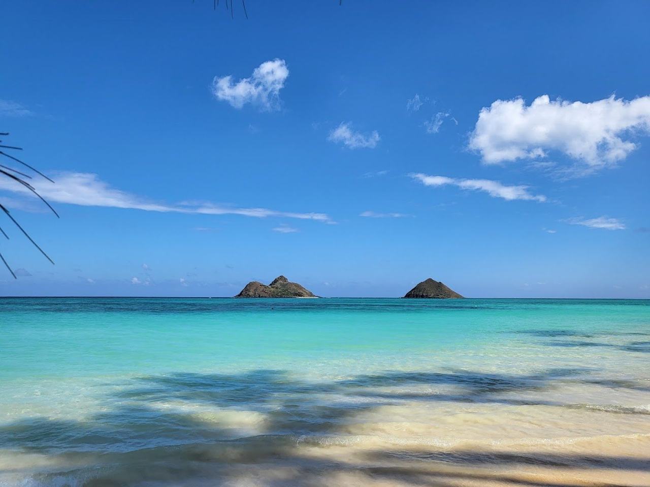 Warm water, reliable sun and calm swimming as the big winter surf finally settles down.