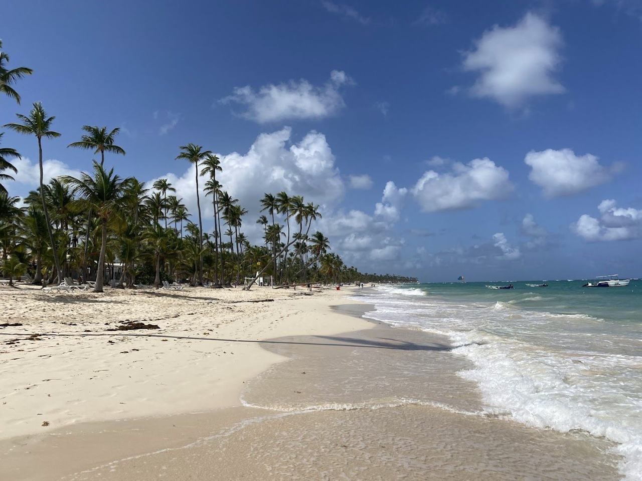Wide soft white sand, palms and turquoise water at Arena Gorda Beach in Punta Cana