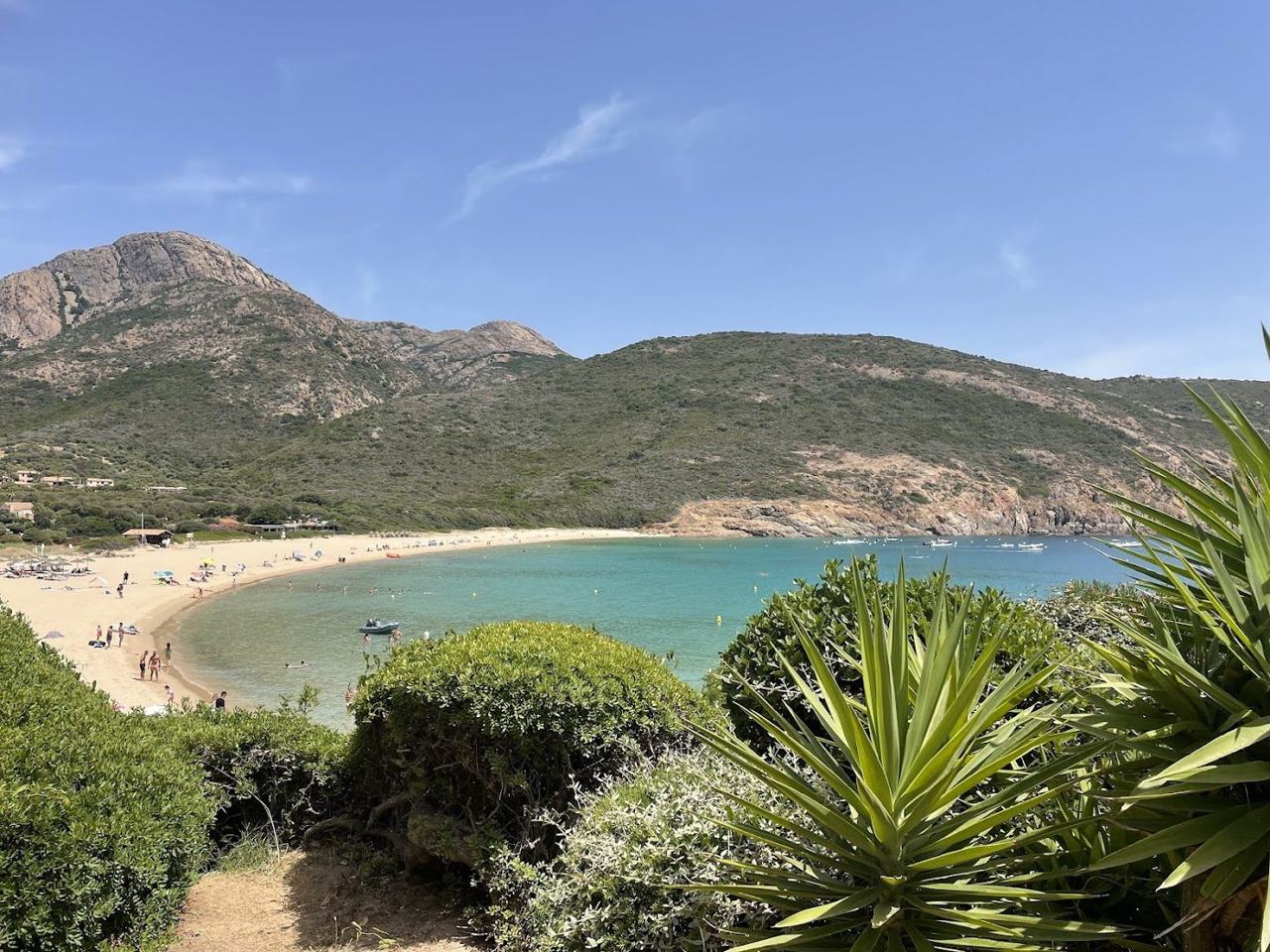 arone in Corsica France