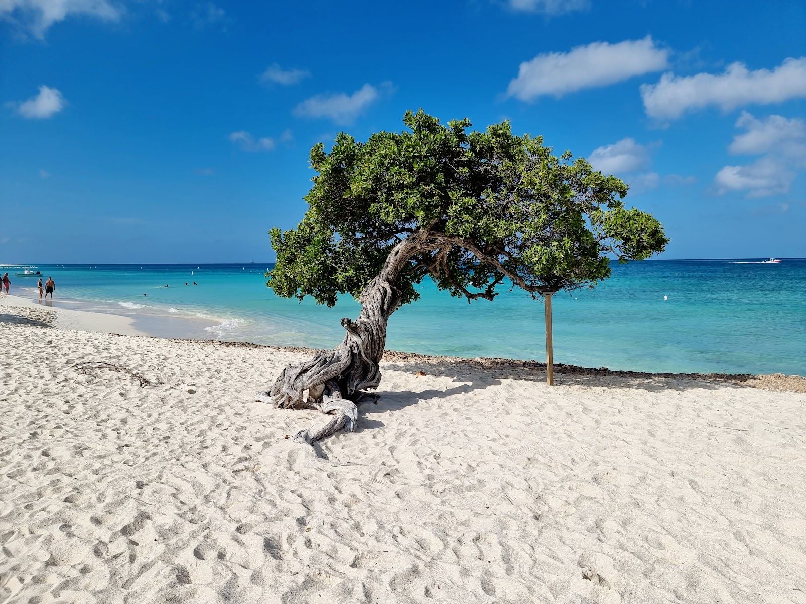 Aruba vs Curacao