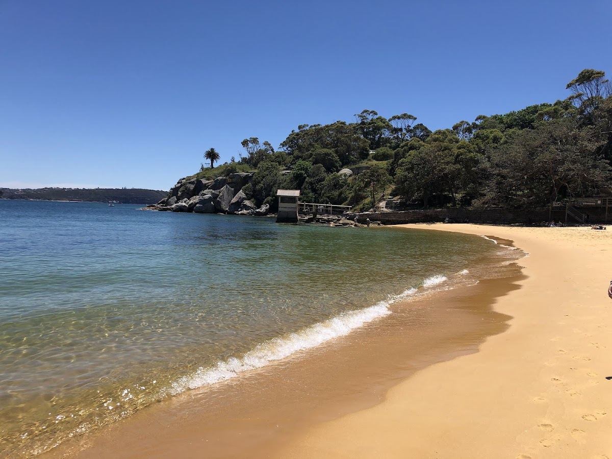 The small golden harbour beach at Camp Cove near Watsons Bay in Sydney