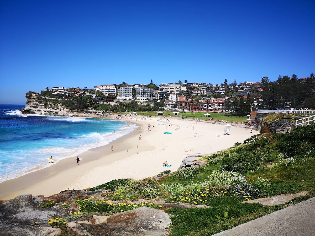 The grassy gully and ocean pool behind Bronte Beach in Sydney