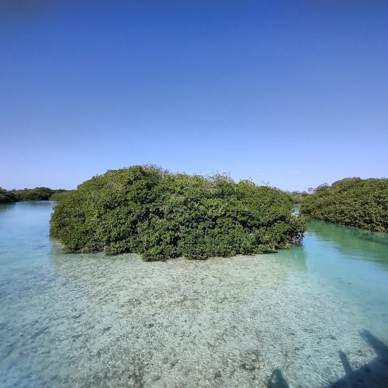 Quiet narrow white sand and calm turquoise water at Boca Paila south of Tulum