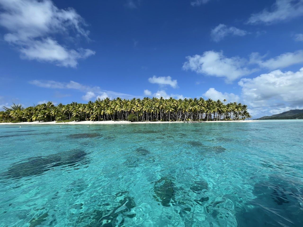 Coconut palms and pale sand on a private motu in the lagoon of Bora Bora