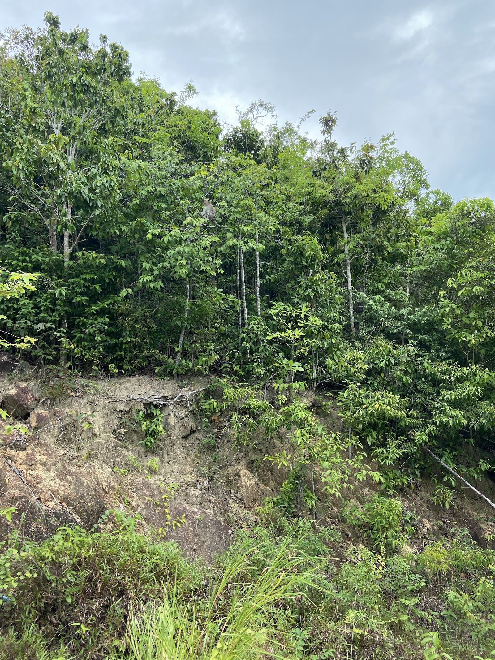 The wild crescent of pale sand and steep jungle hills at Bottle Beach on the north coast of Koh Phangan