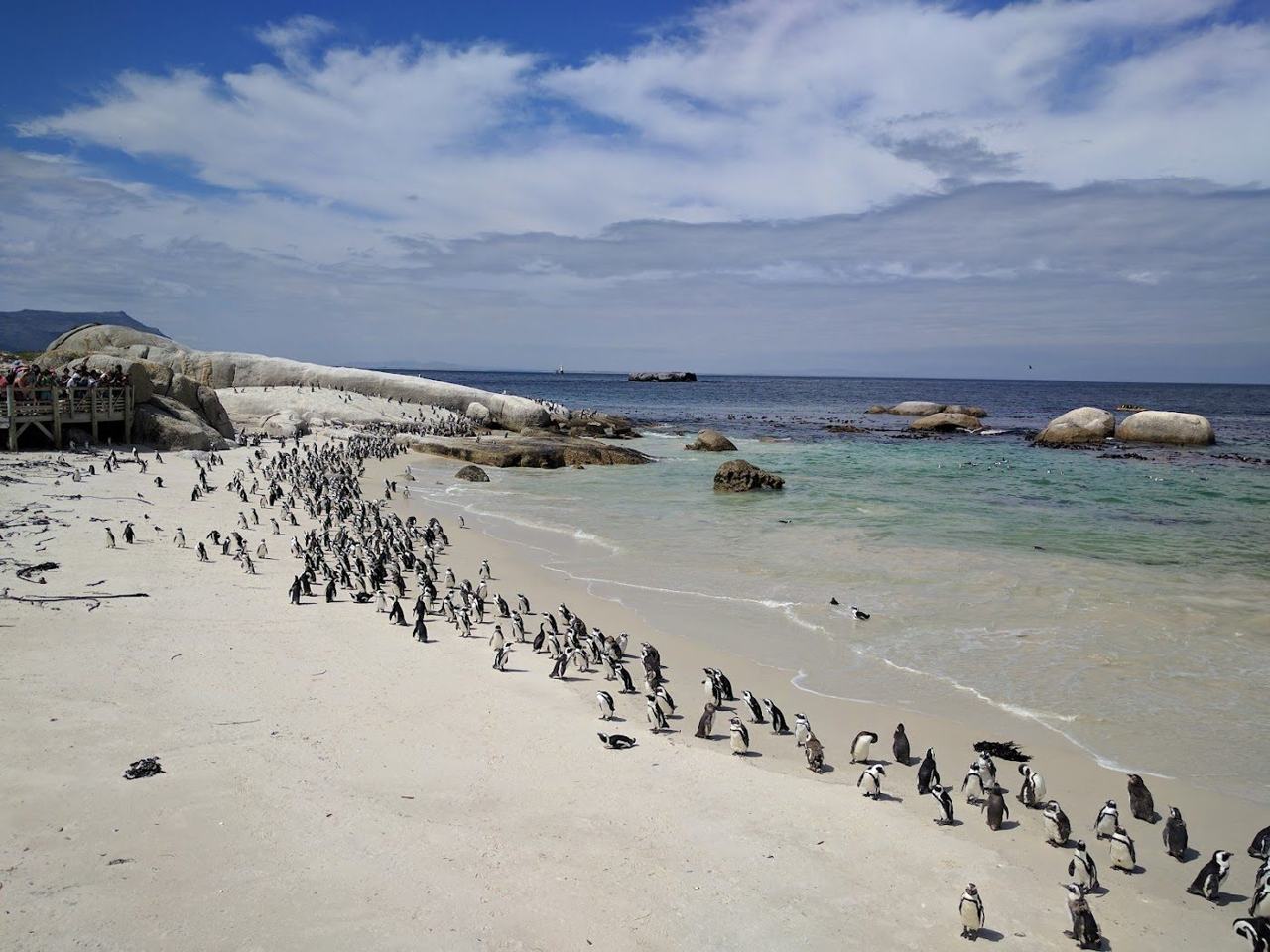 Granite boulders and a penguin colony at Boulders Beach near Cape Town