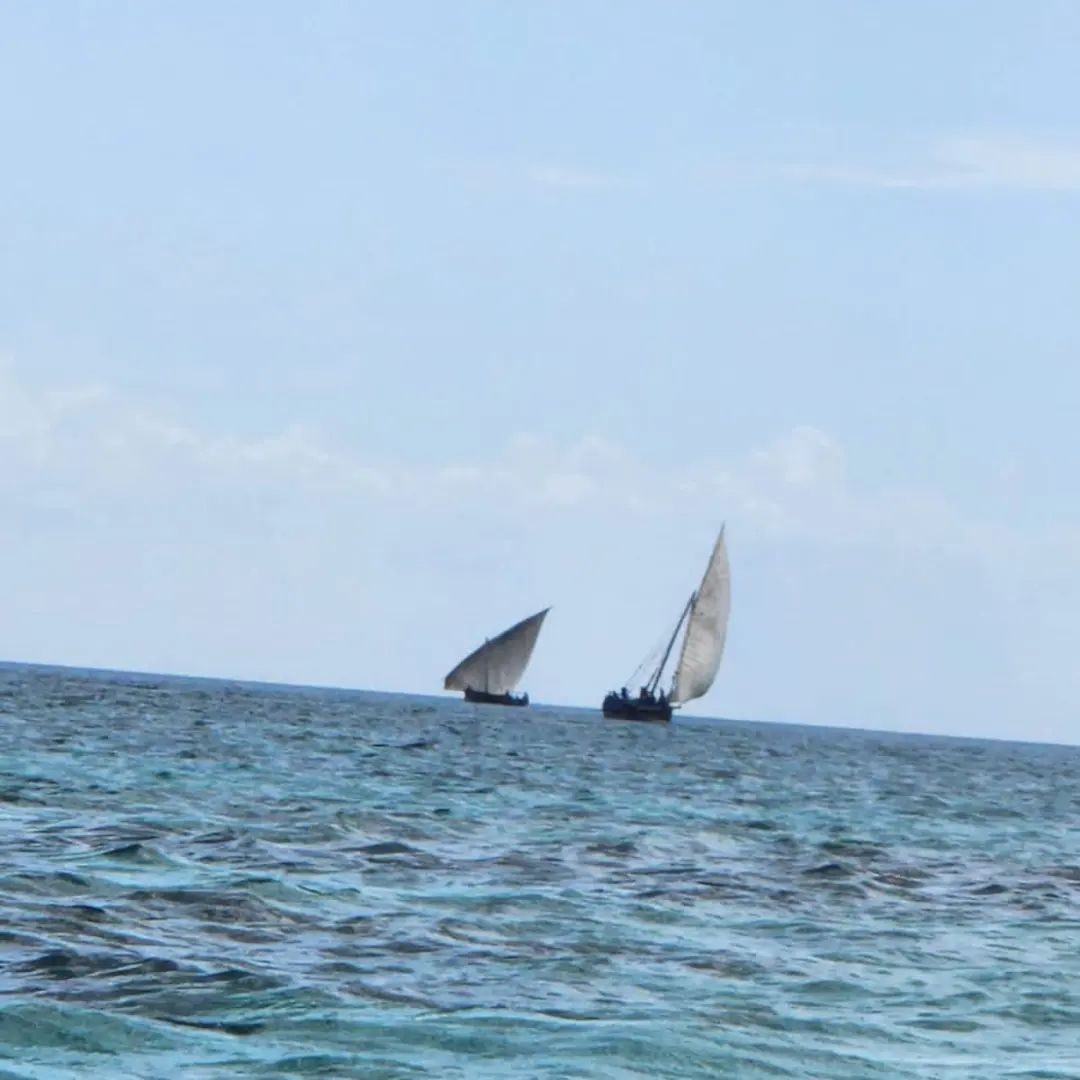 A second view of the wide white sand and flat reef lagoon at Bwejuu beach on Zanzibar