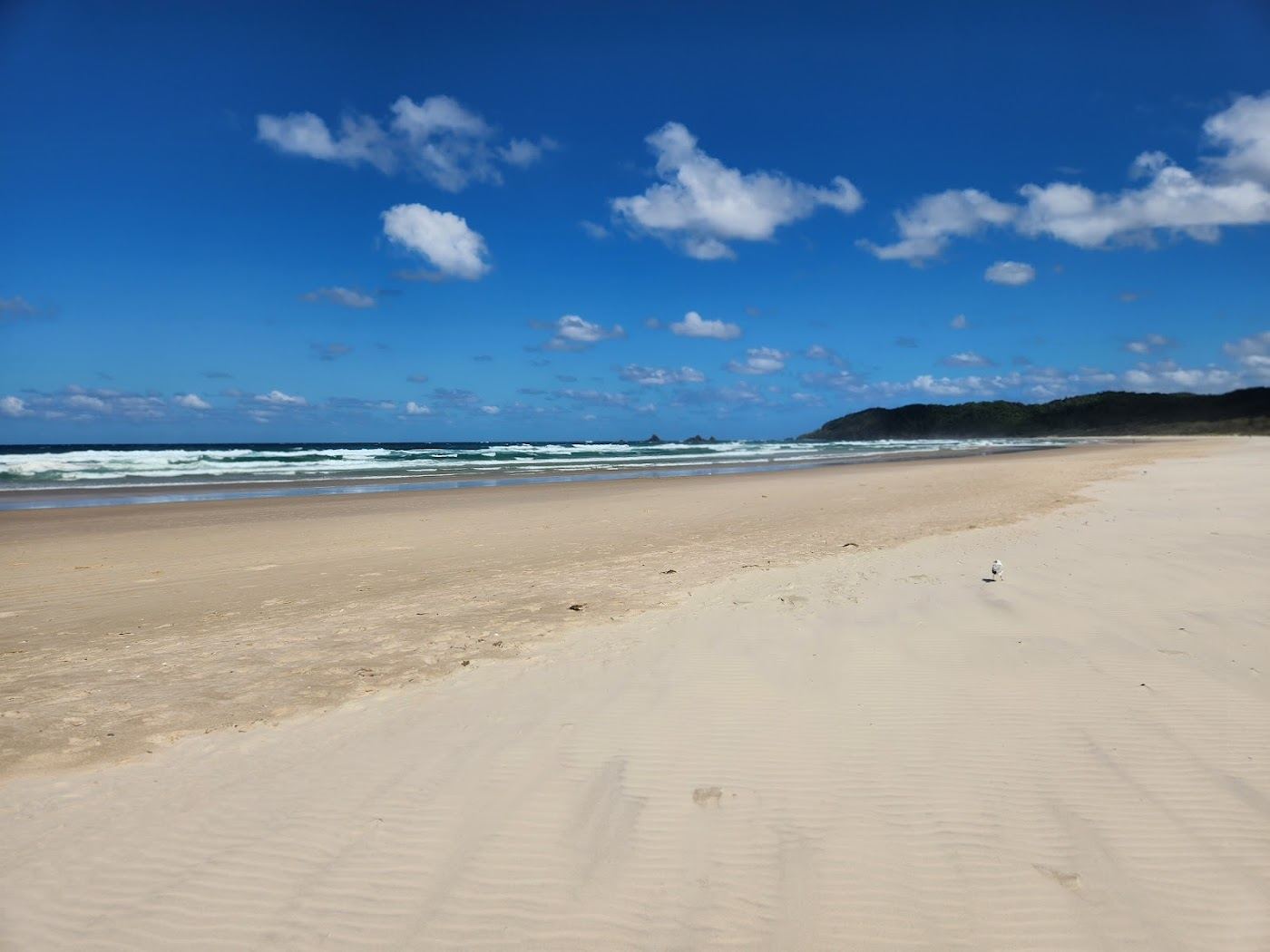 The long open sand and dunes of Suffolk Park Beach at the southern end of Tallow Beach below Byron Bay, New South Wales, Australia