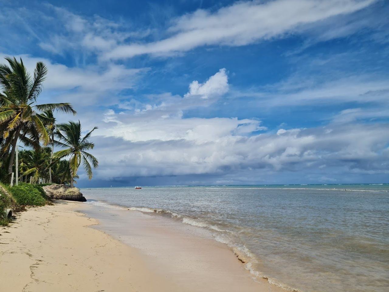 Open pale sand, breeze ruffled palms and turquoise water at Cabeza de Toro beach in Punta Cana
