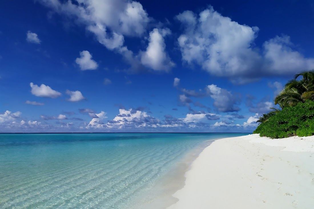 The calm clear lagoon and bikini beach of Thoddoo island in the Maldives