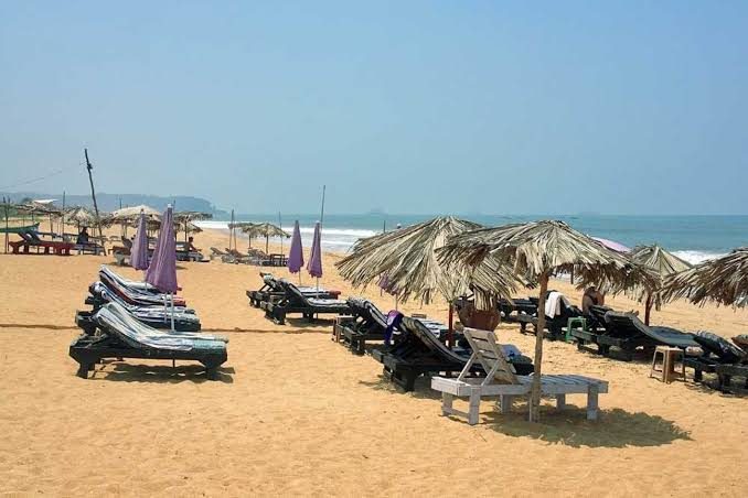 Candolim Beach long calmer stretch of golden sand with sunbeds and palms in North Goa