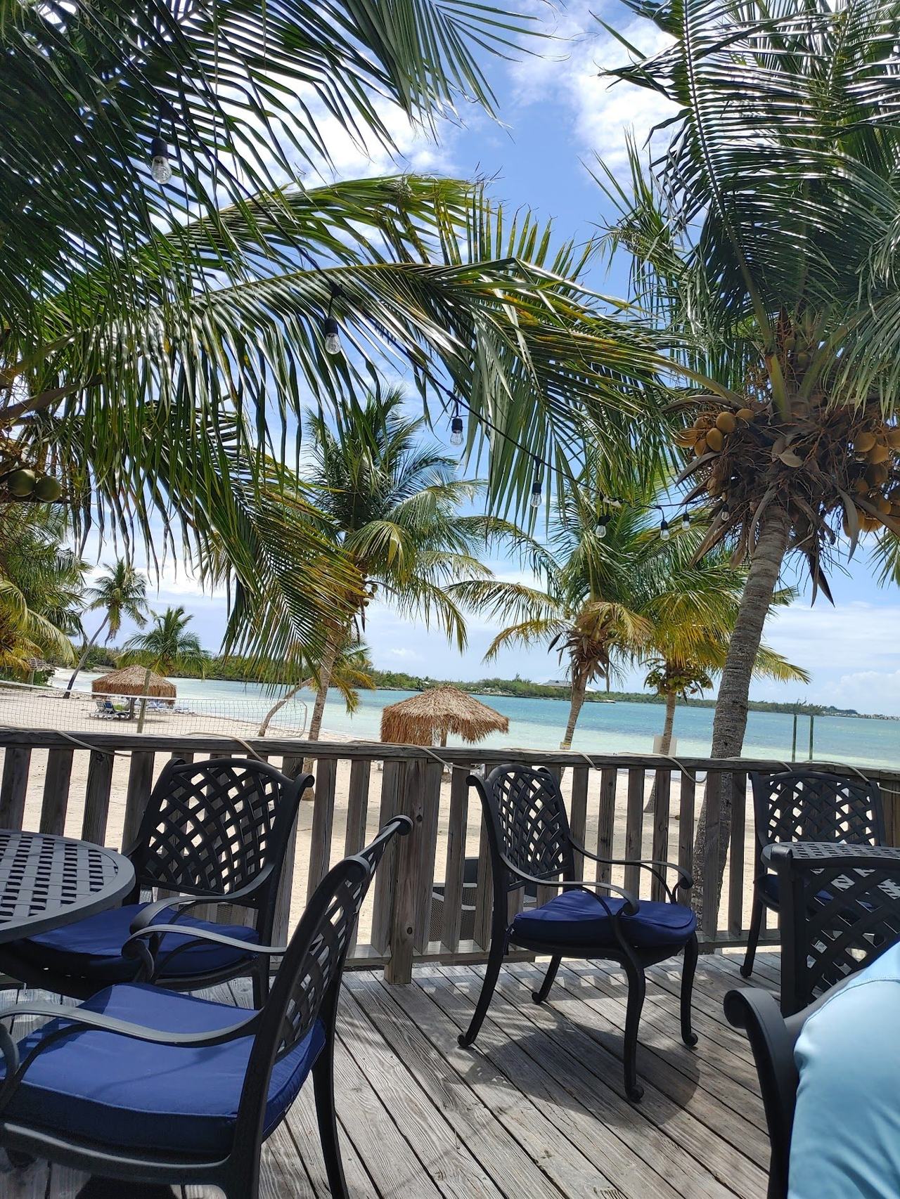 A palm shaded beach bar on the sugar white sand of Green Turtle Cay in the Bahamas