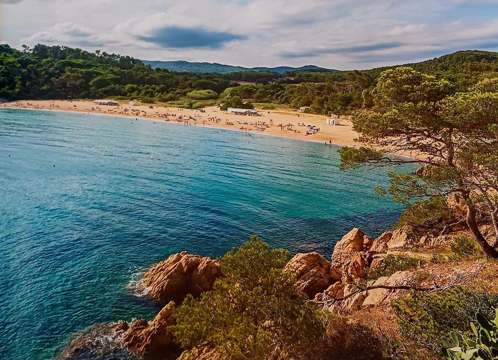 Wide arc of golden sand backed by pine woods at Platja de Castell near Palamos on the Costa Brava