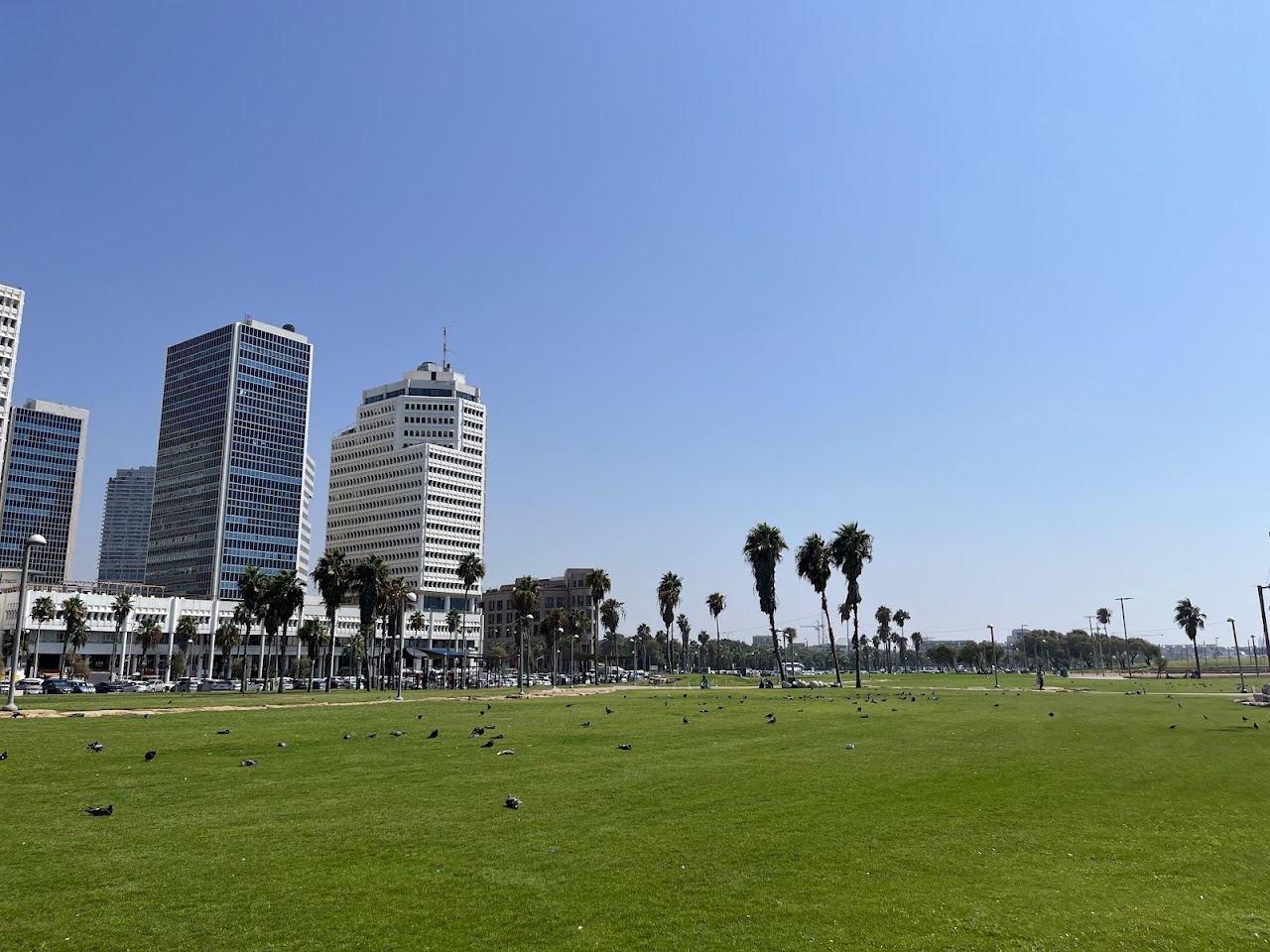 The lawns, sand and seafront of Charles Clore park beach in Tel Aviv near Jaffa