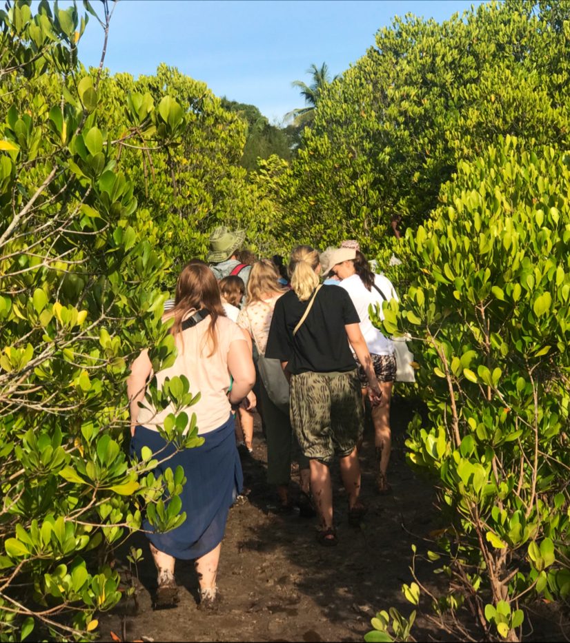 Mangrove fringed shallows near Chwaka village on the east coast of Zanzibar