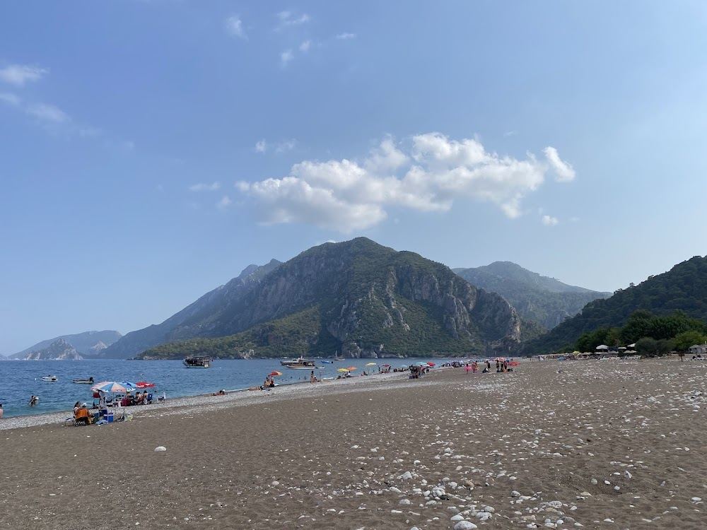 The calm gentle water and tree backed shore of Cirali beach beside Olympos on the Lycian coast