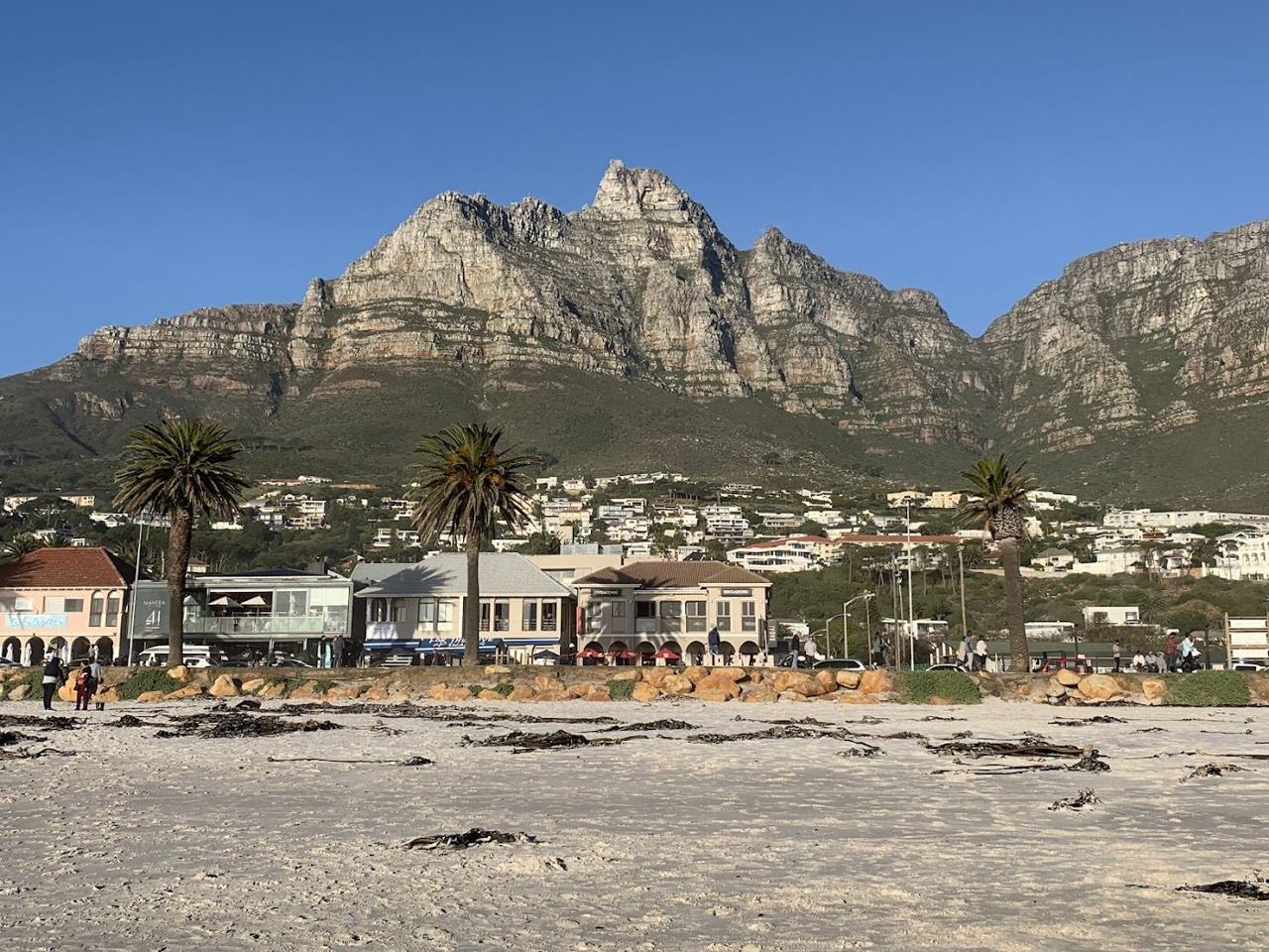 The white sand of Camps Bay in Cape Town with palms in front and mountains rising behind