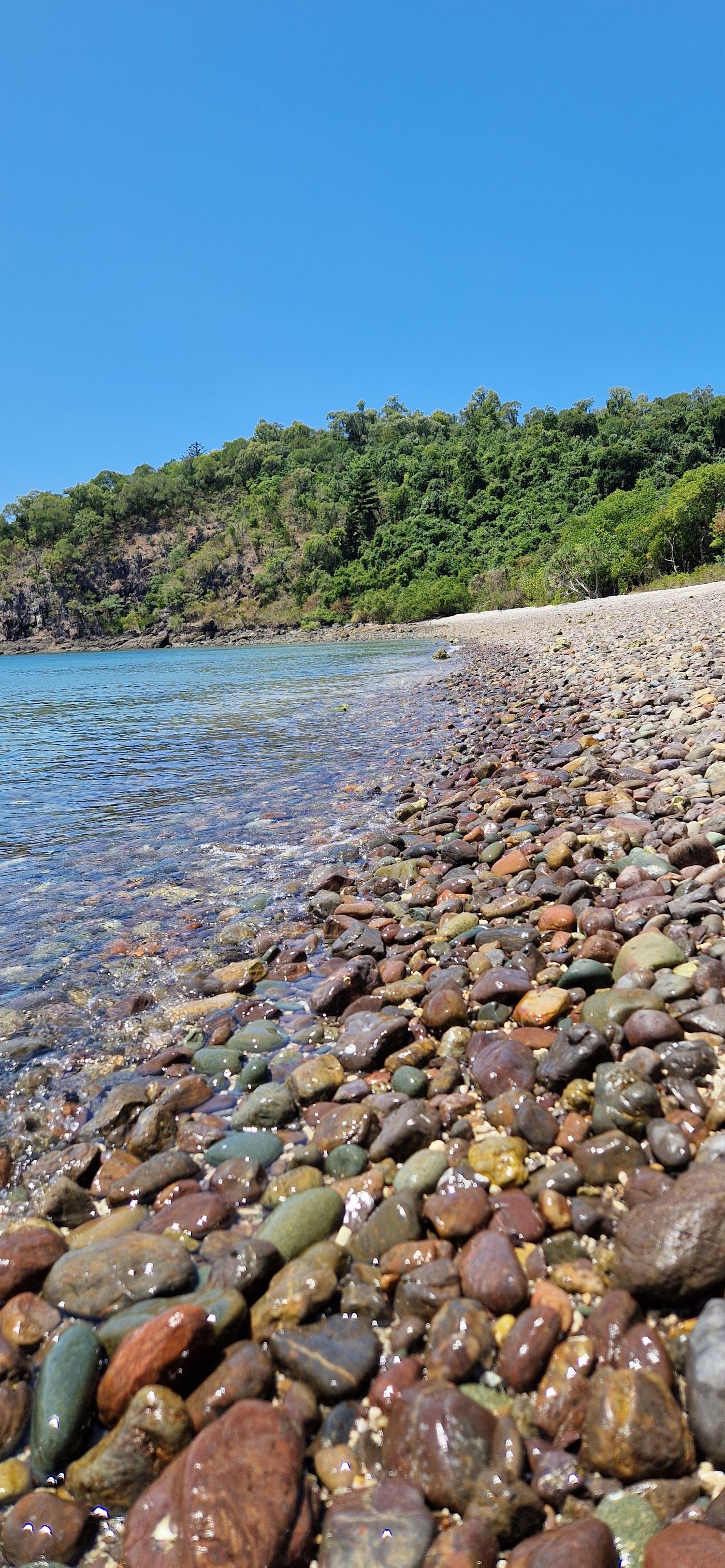 Coral rubble foreshore and clear water at Coral Beach in Conway National Park near Airlie Beach in the Whitsundays