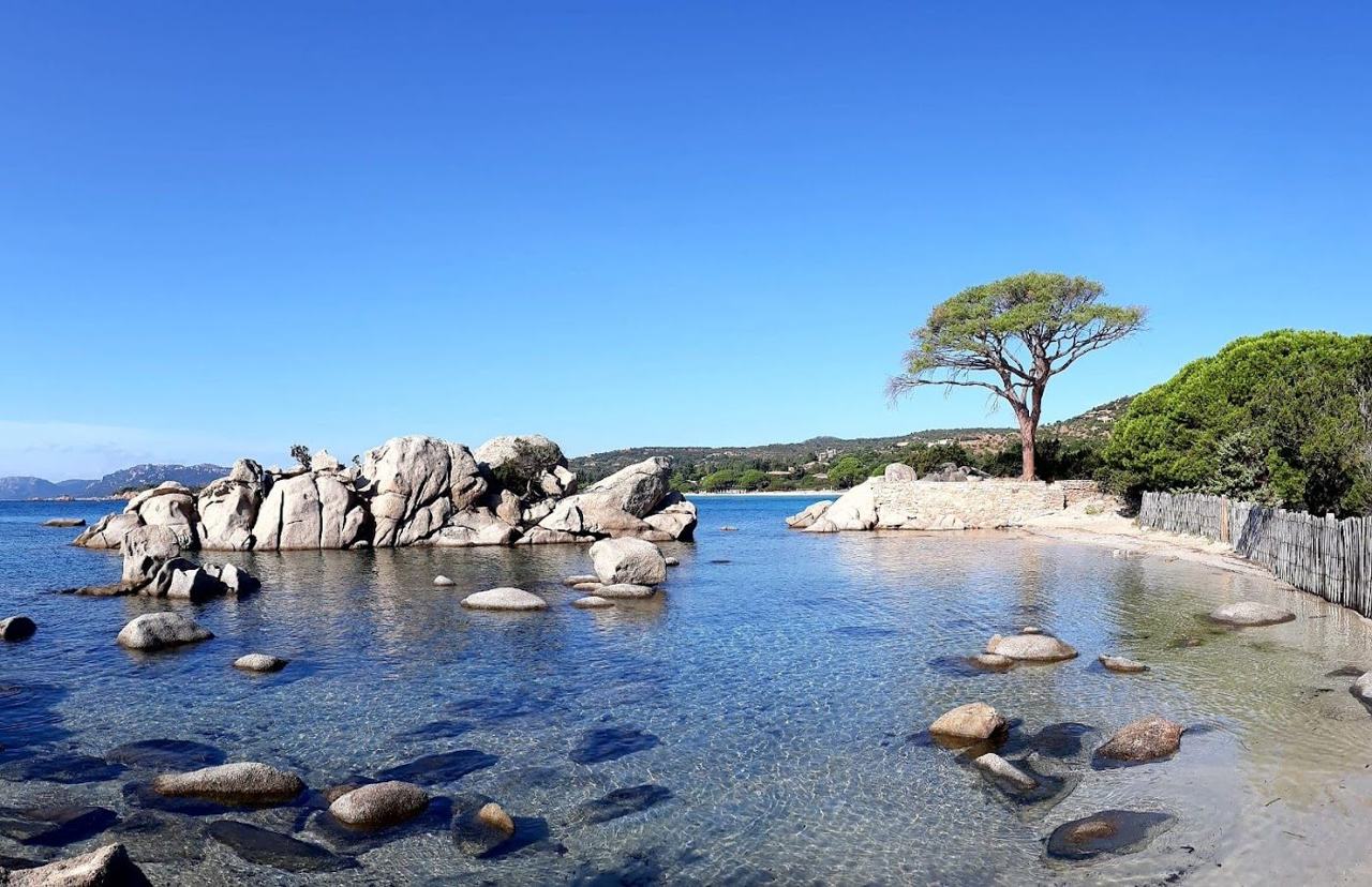 Sunbeds on pale sand under pines at a beach club on Palombaggia in southern Corsica