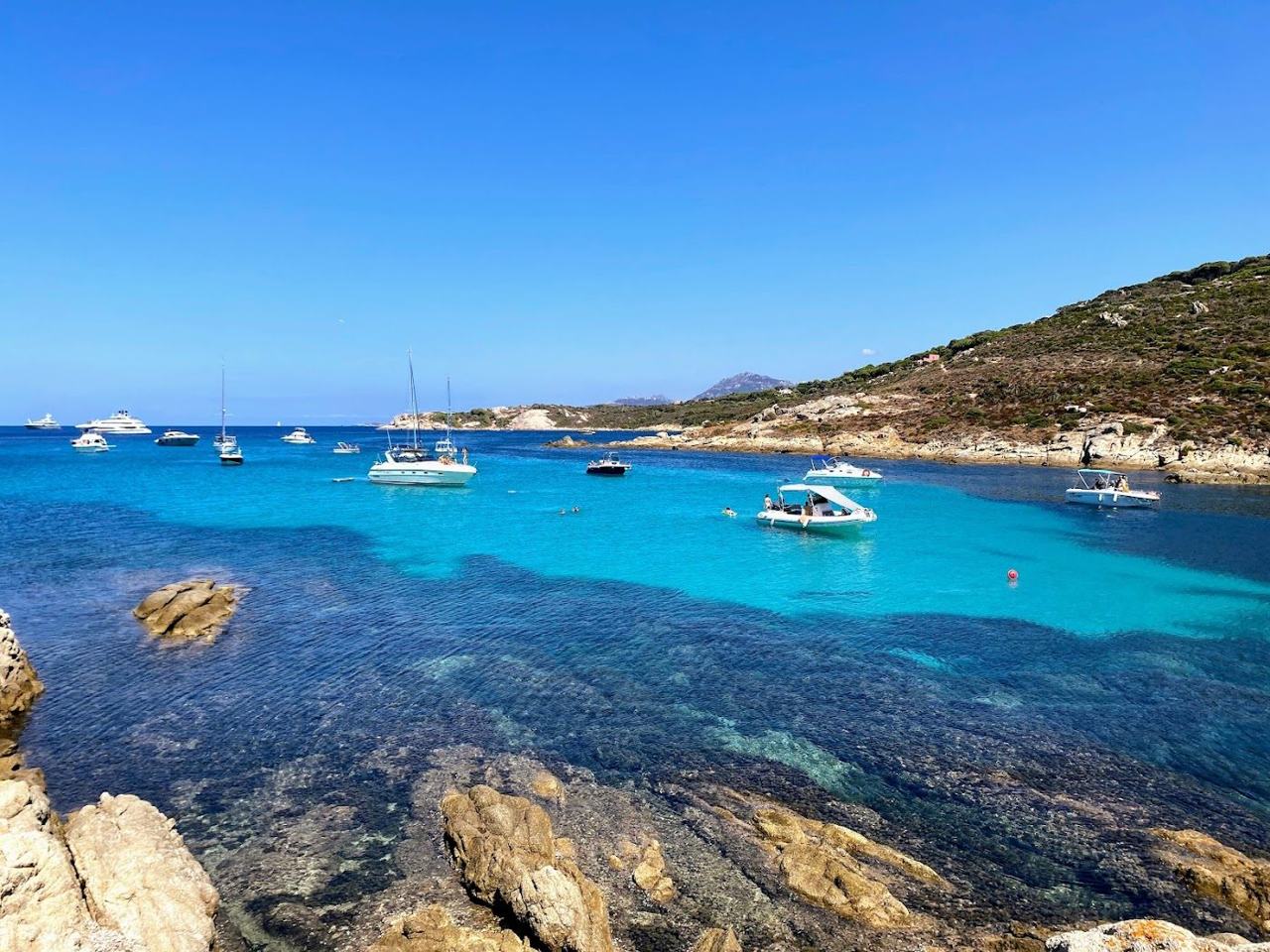 The pine backed bay of Calvi below the citadel in northwest Corsica