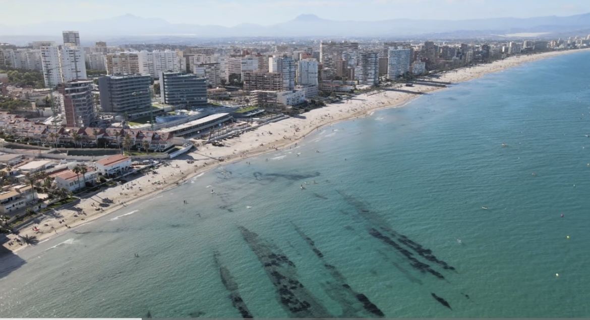 Long golden sand and calm clear water at Playa de San Juan near Alicante on the Costa Blanca