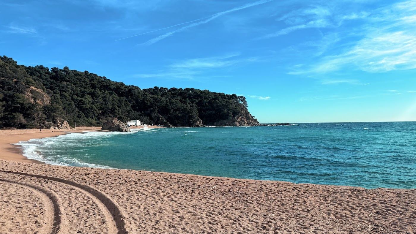 Pine fringed cove and clear Mediterranean water on the Costa Brava in Catalonia