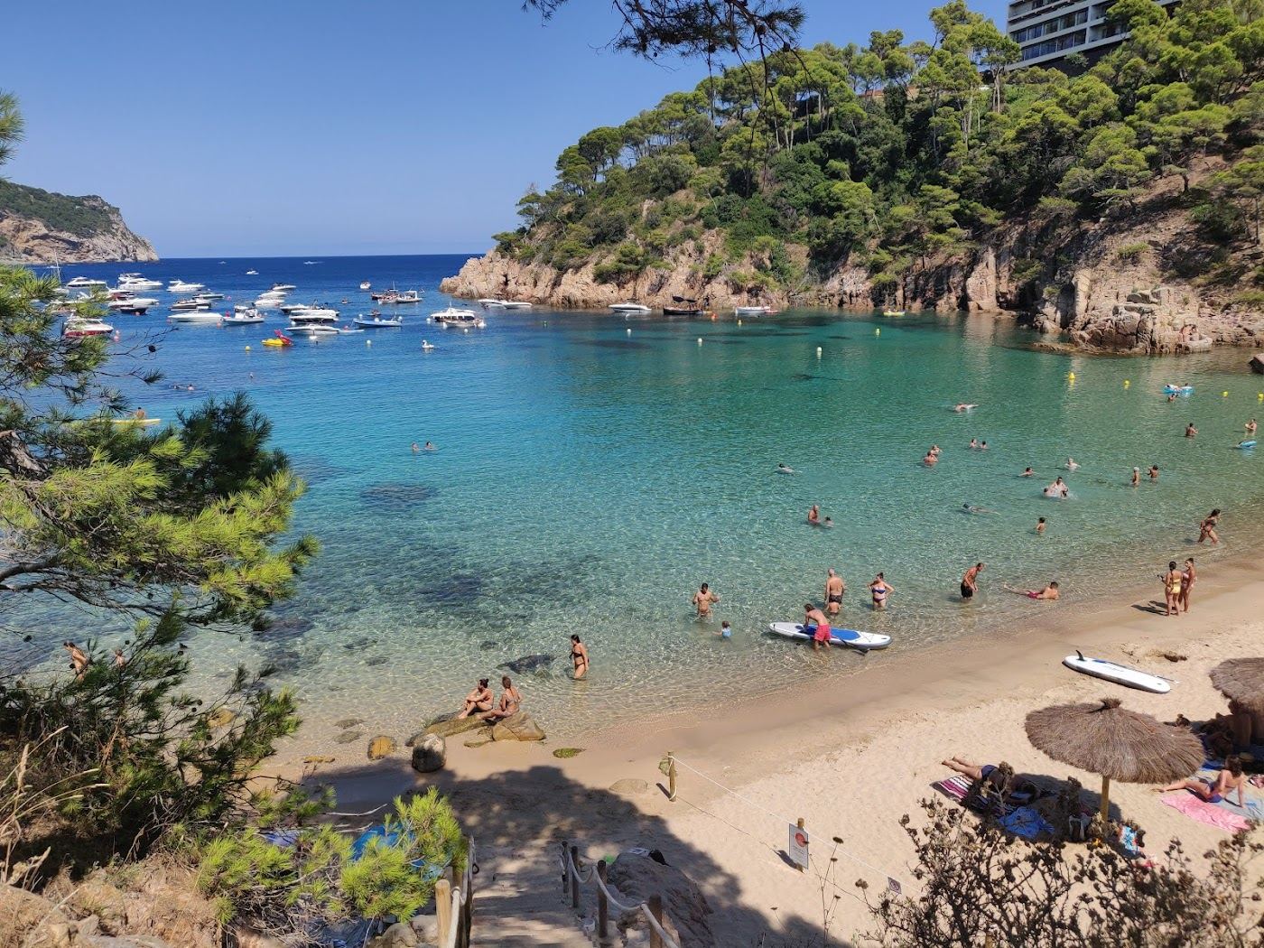 Turquoise water and pine clad rock at the cove of Aiguablava near Begur on the Costa Brava