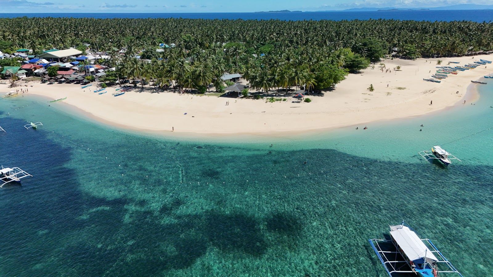 Daku Island palm fringed crescent of soft sand offshore from General Luna in Siargao