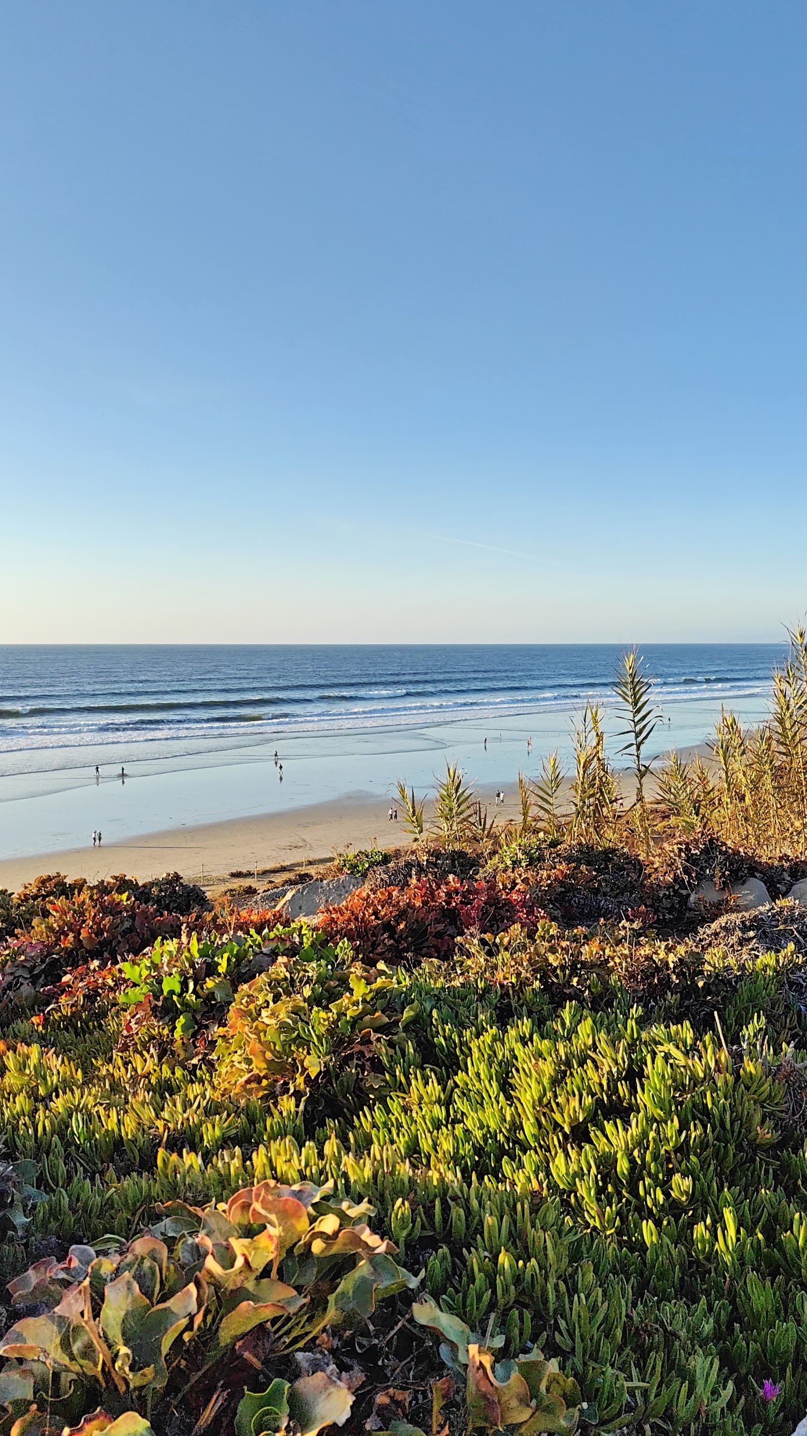 Del Mar Beach San Diego wide sand and bluffs north of the city