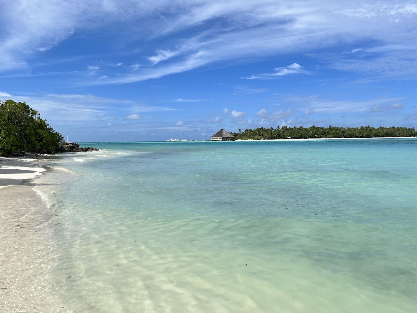 Calm shallow lagoon and palms along a bikini beach at Dhiffushi in the Maldives