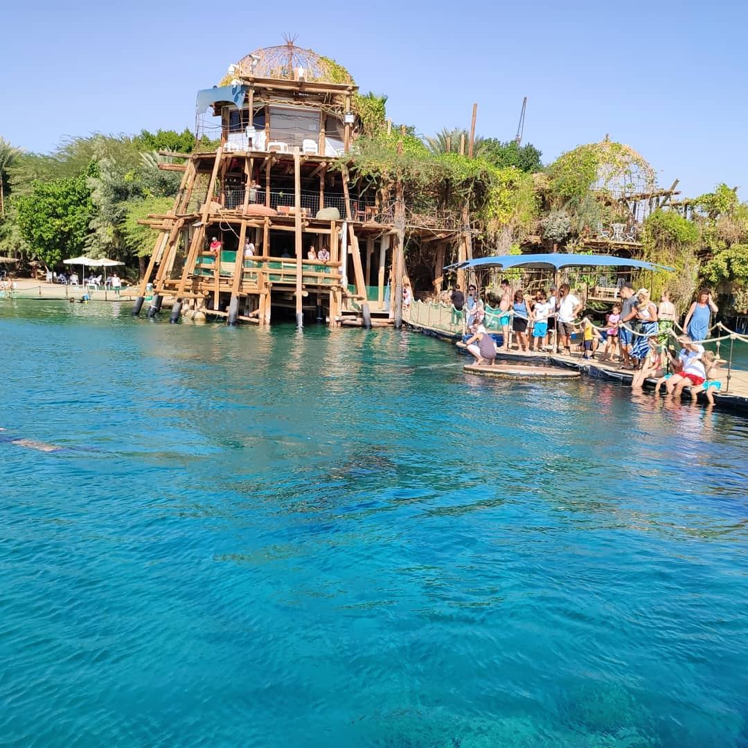 The sheltered dolphin bay and wooden piers at Dolphin Reef in Eilat