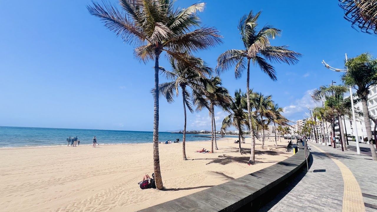 Calm golden Blue Flag city beach with palm promenade at El Reducto in Arrecife, Lanzarote
