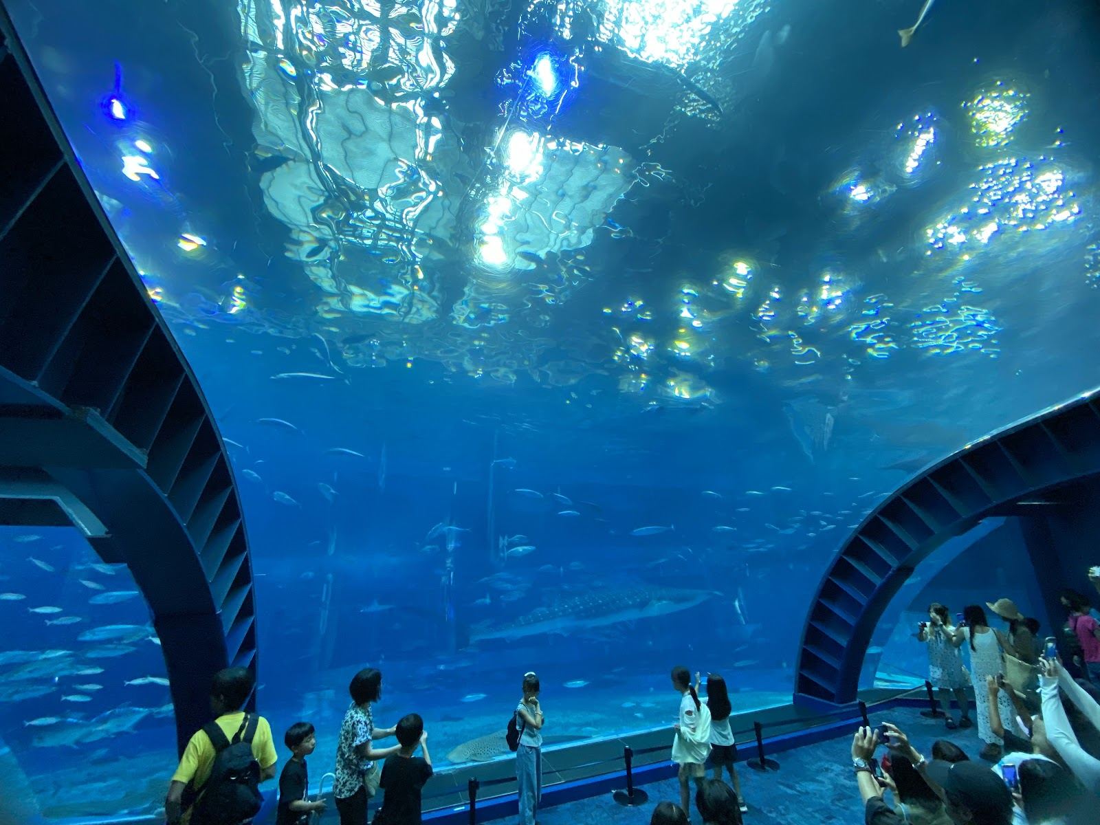 The Ocean Expo Park and Churaumi Aquarium area beside Emerald Beach in Okinawa