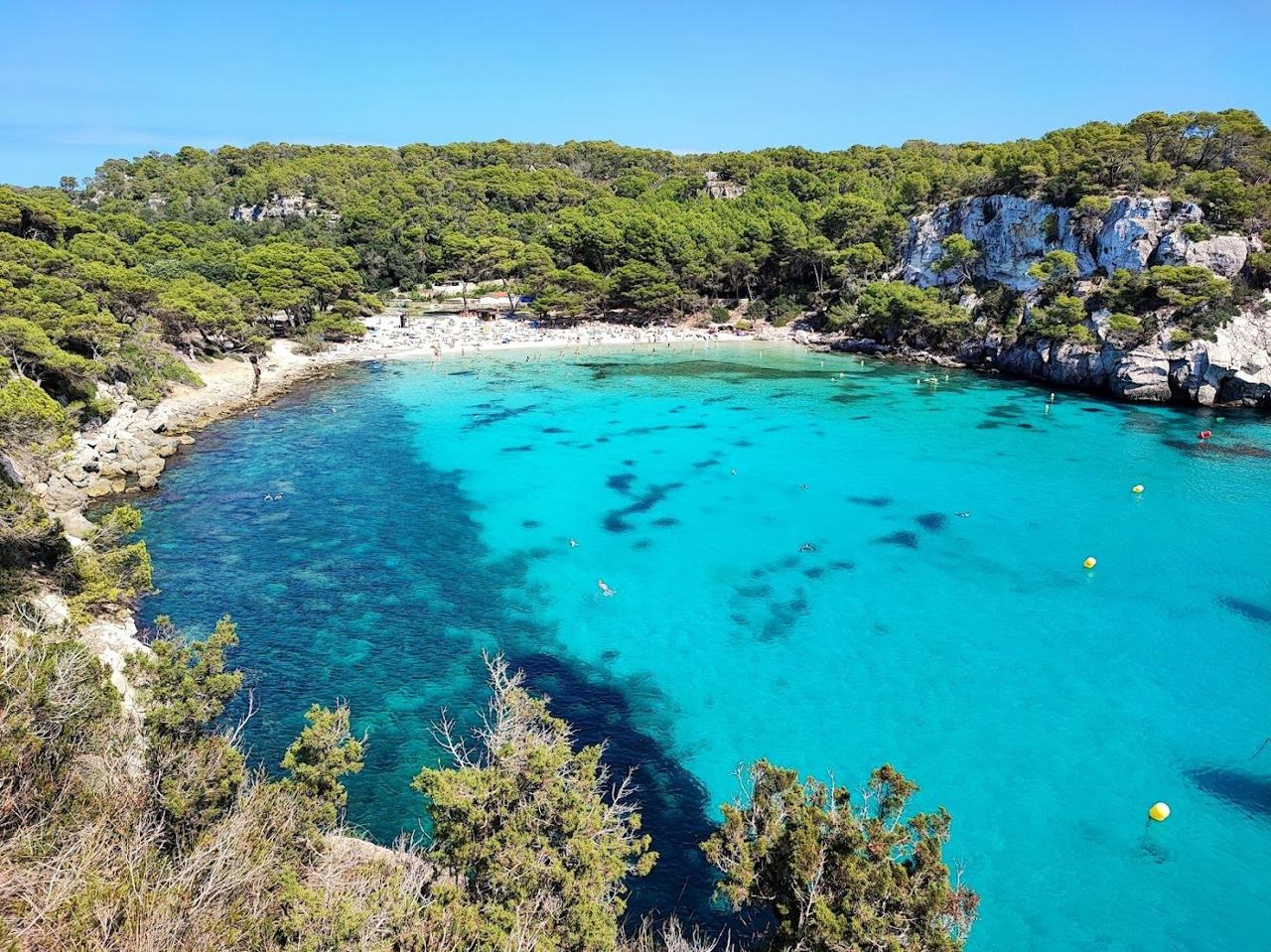 Pale sand framed by pines above turquoise water at Cala Macarella on Menorca
