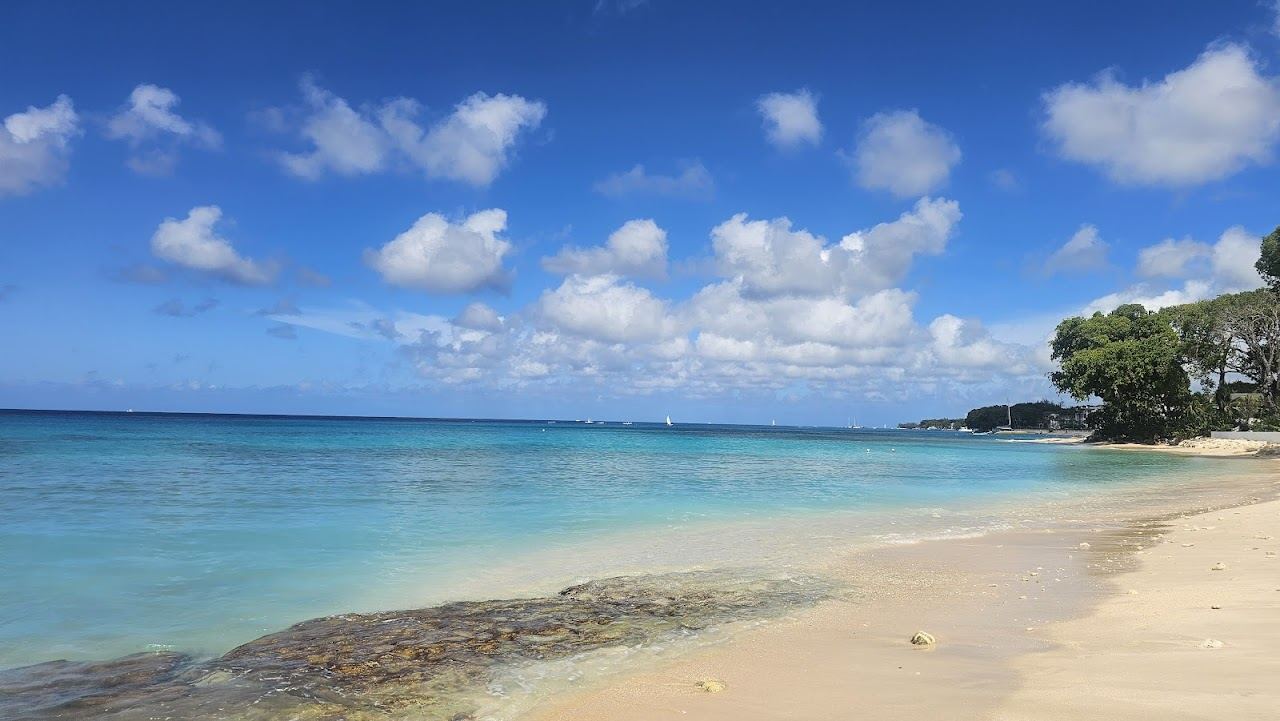 The calm west coast water and turtle snorkeling at Paynes Bay in Barbados