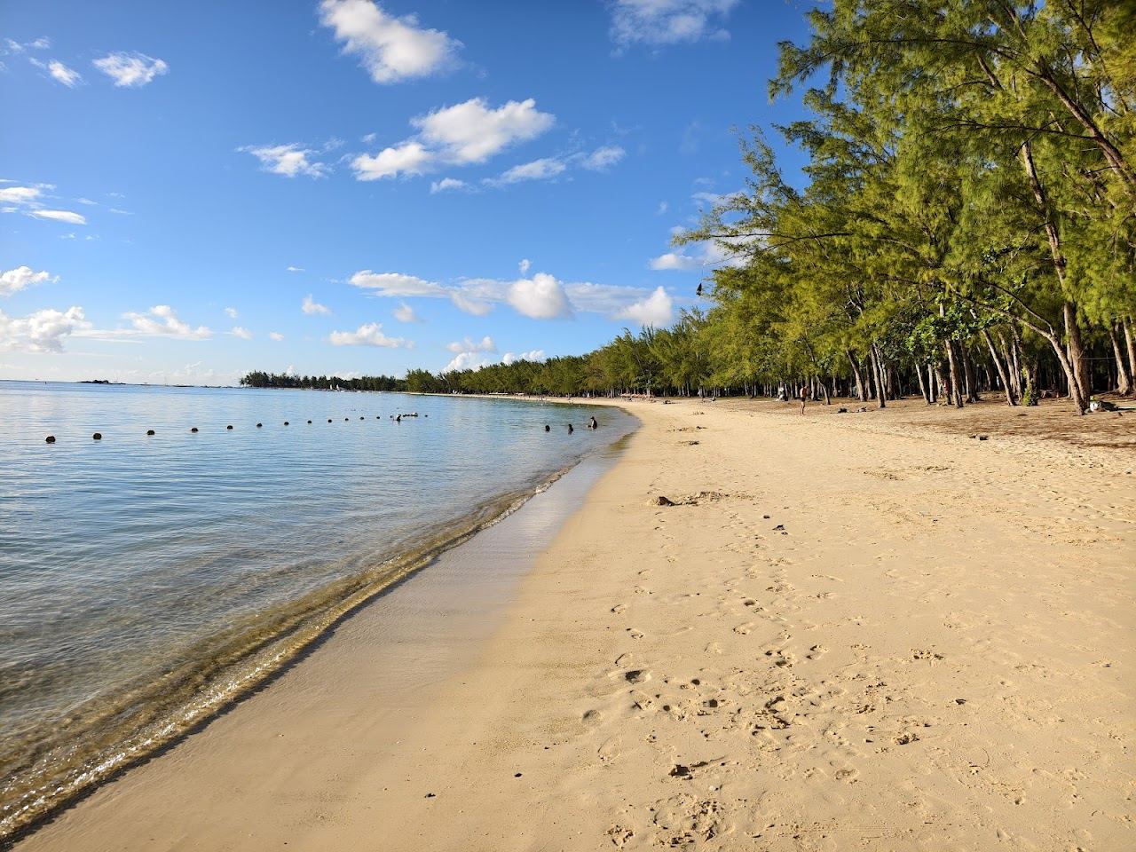 The shaded casuarina fringe and shallow lagoon water of Mont Choisy