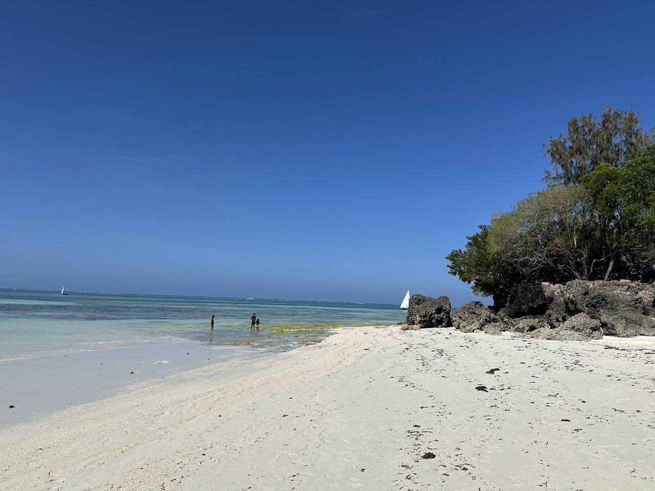 A short dry window brings hot sun and brilliant white sand between the long and short rains.