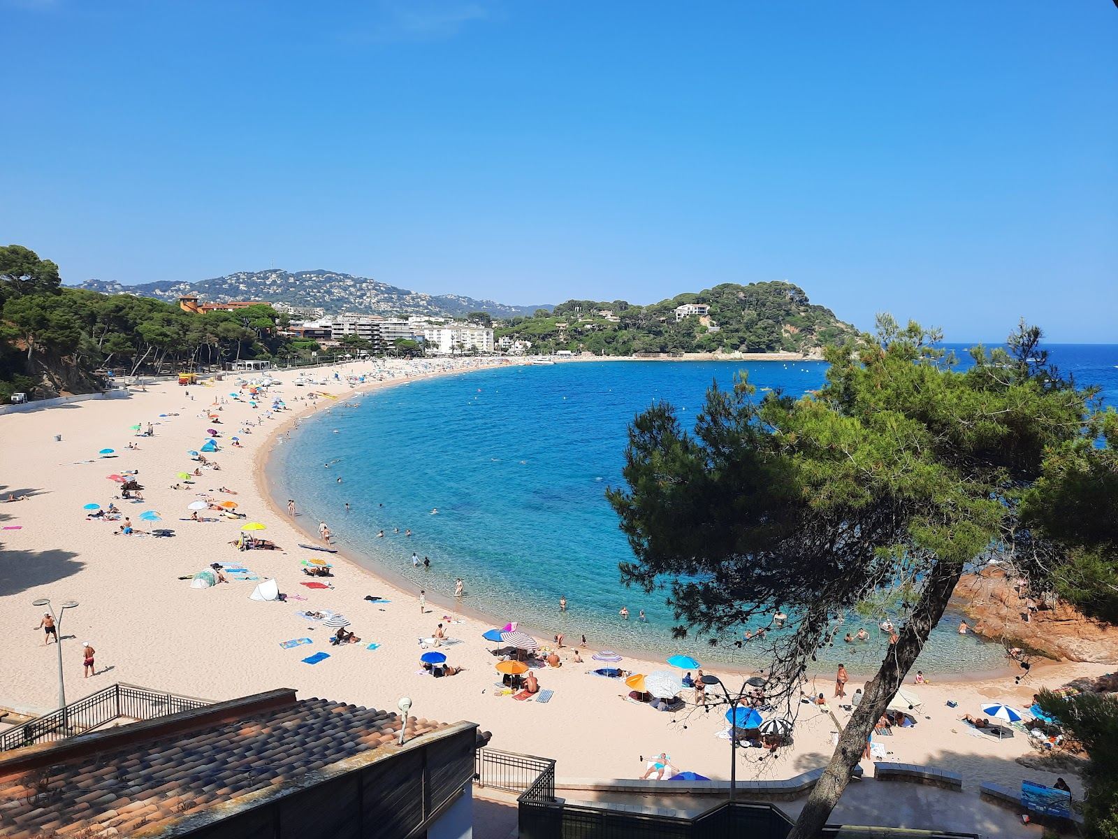 Wide curve of golden sand backed by a pine topped headland at Platja de Fenals near Lloret de Mar