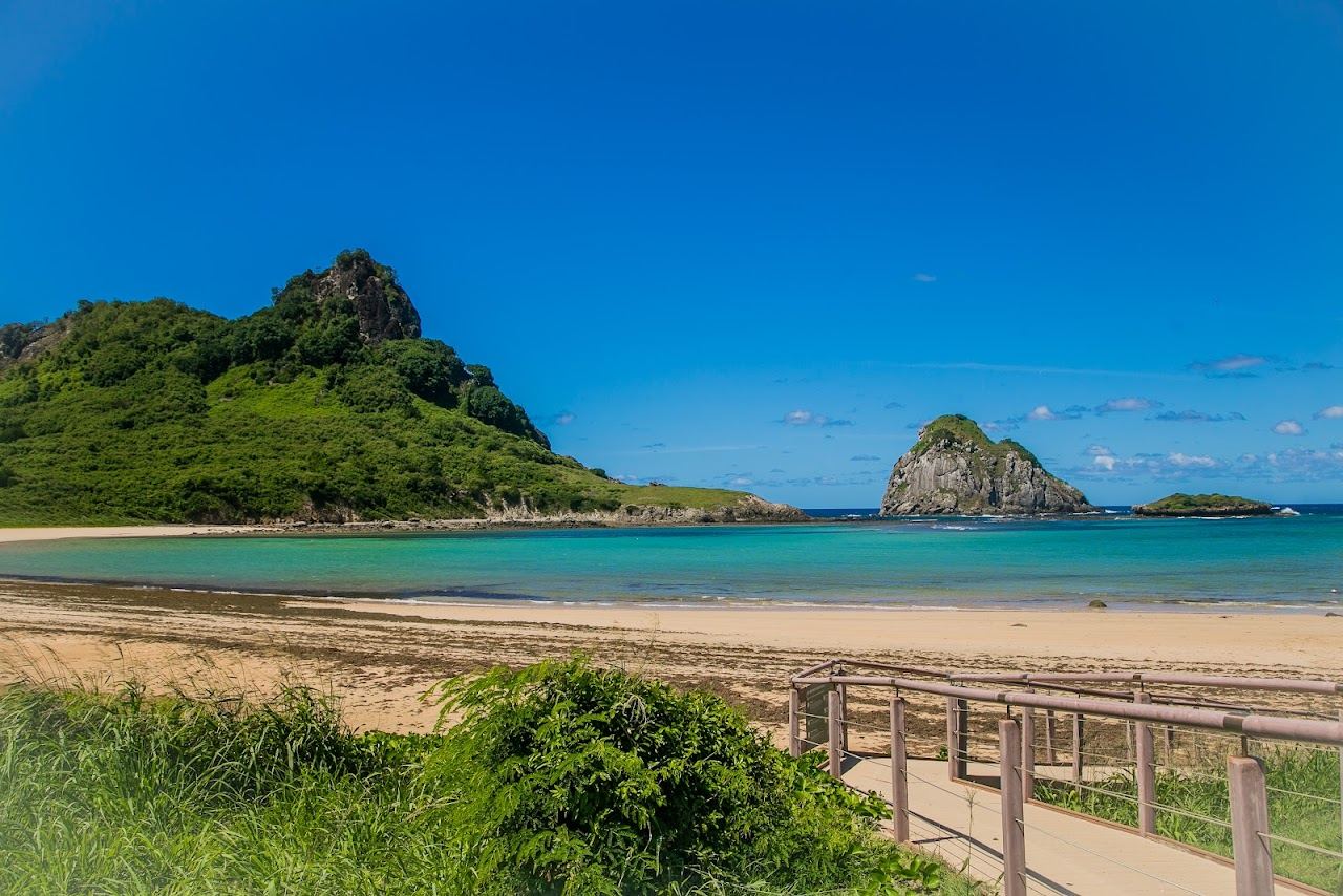 Sheltered mangrove backed cove with calm green water at Baia do Sueste on Fernando de Noronha