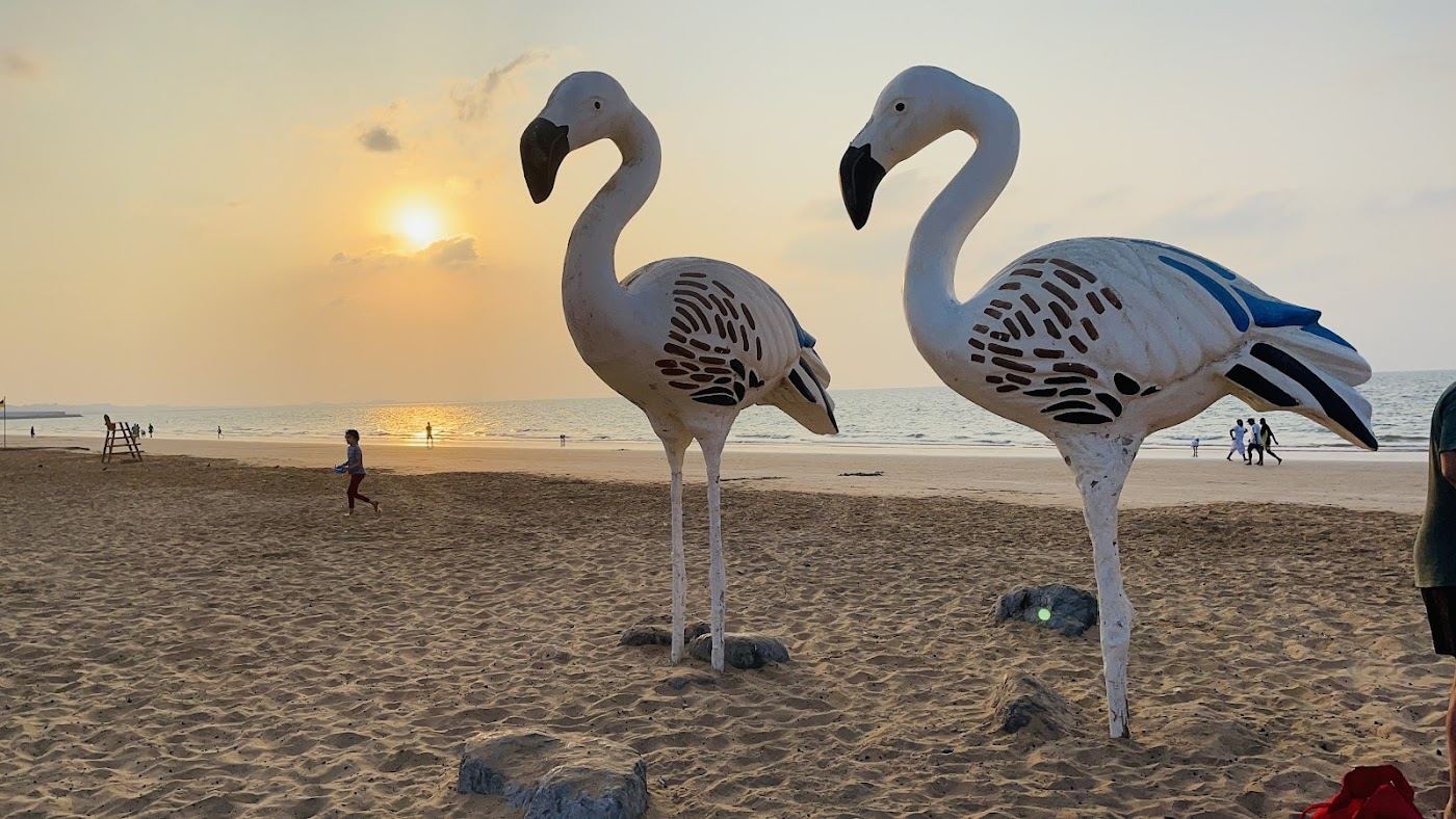 Flamingo Beach in Ras Al Khaimah