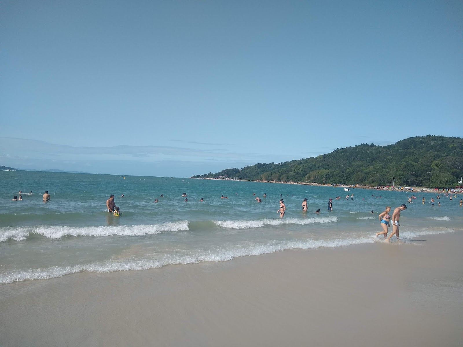Gentle bay water and soft sand at Praia da Daniela on the north of Florianopolis island