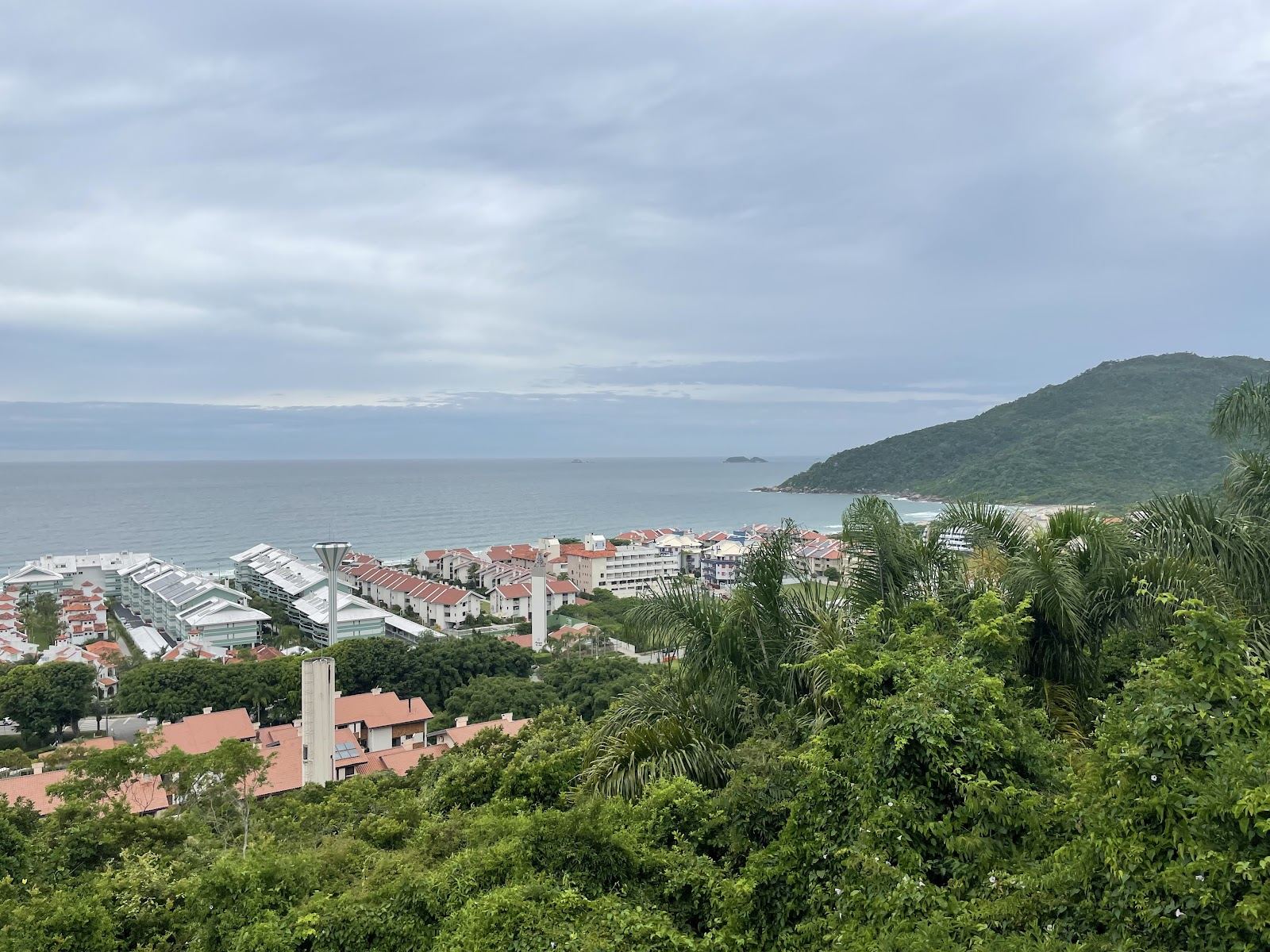 Blue ocean water and soft sand framed by green cliffs at Praia Brava in the north of Florianopolis