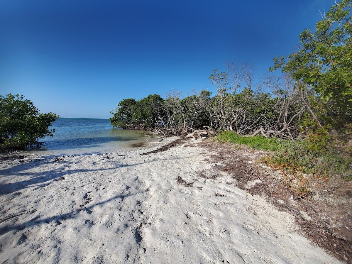 The mangrove boardwalk and shaded picnic area at Anne's Beach in Islamorada