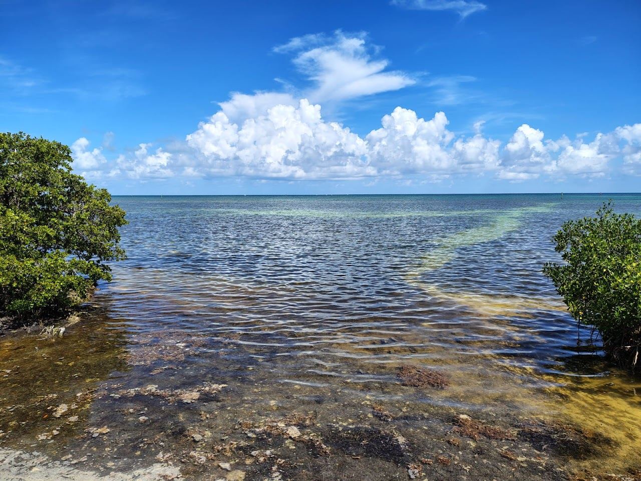 The shallow tidal flats and boardwalk of Annes Beach in Islamorada in the Florida Keys