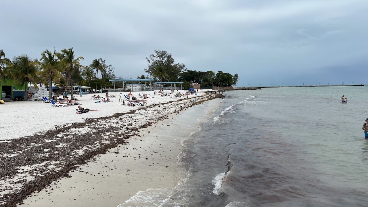 The palm lined sand and pier at Higgs Beach in Key West in the Florida Keys